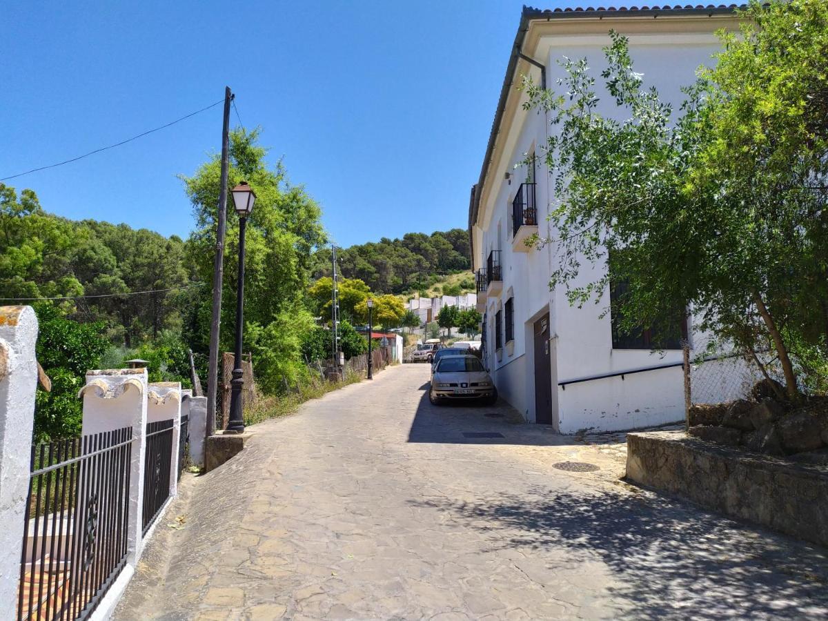Vivienda Majaceite Apartman El Bosque Kültér fotó
