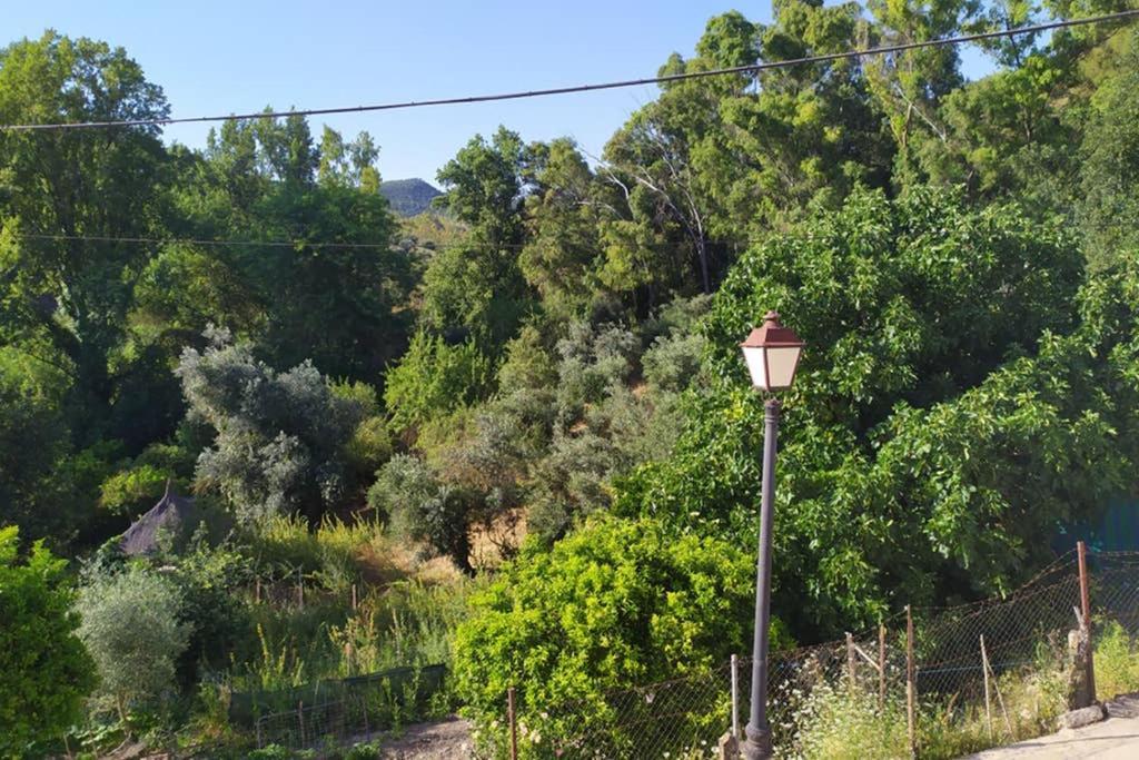 Vivienda Majaceite Apartman El Bosque Kültér fotó