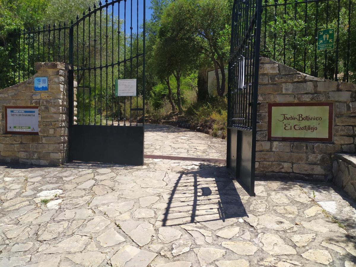 Vivienda Majaceite Apartman El Bosque Kültér fotó