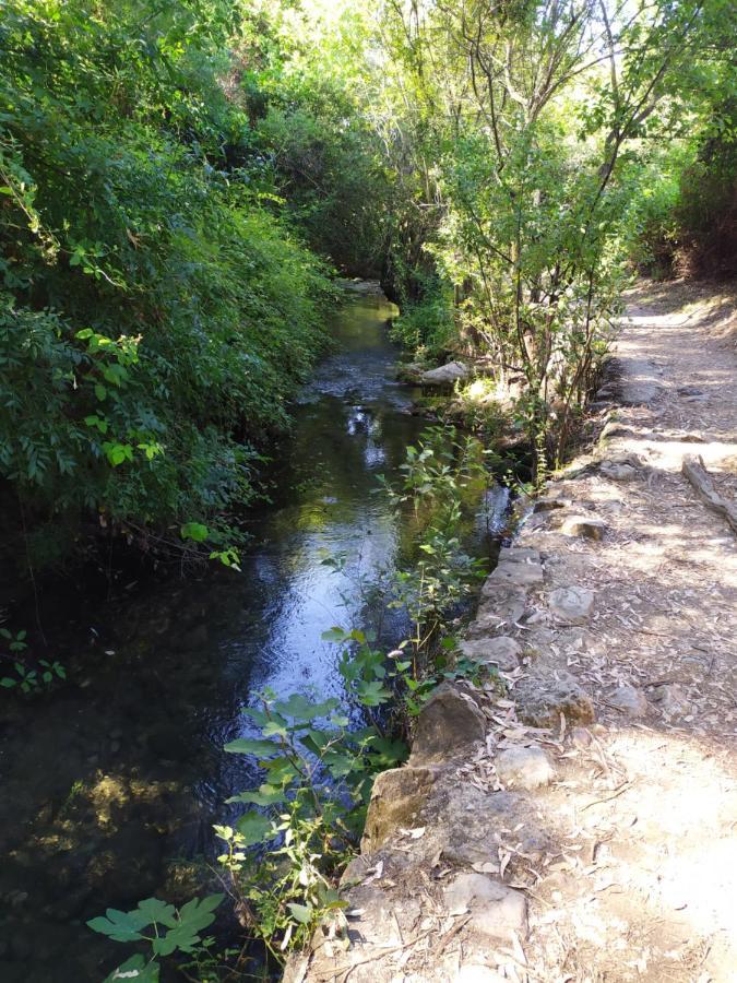 Vivienda Majaceite Apartman El Bosque Kültér fotó